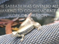 Sabbath lizard