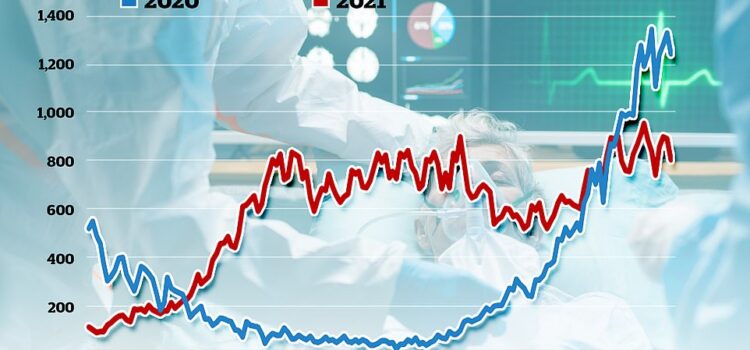 NHS boss Amanda Pritchard abusing Covid statistics to promote vaccination