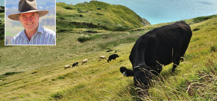 Australian farmers would have had to gun down their cattle if government-imposed methane-emission limits by 2030, deputy PM says