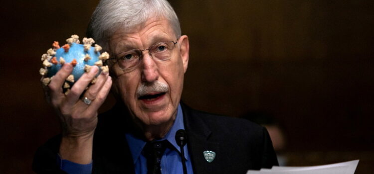 Francis Collins Wants Purveyors of ‘False Information’ about COVID ‘Brought to Justice’