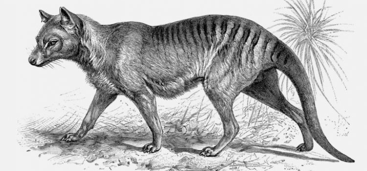 Scientists aim to resurrect extinct species