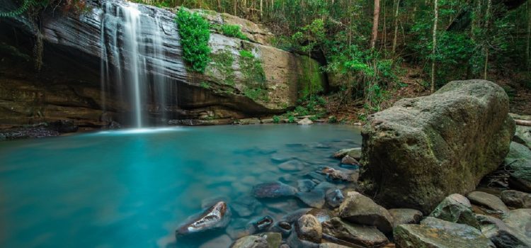 Sunshine Coast officially becomes a UNESCO biosphere