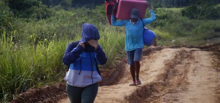 Brazil Catholics demand accountability for illegal mining