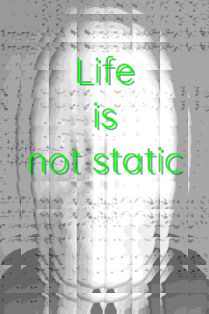 life-is-not-static (1)